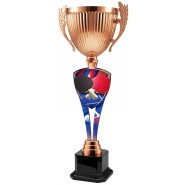 Trofej ACUPM2026M12 | Stolní tenis Trofej ACUPM2026M12 | Stolní tenis