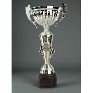 Pohár Standard S0273