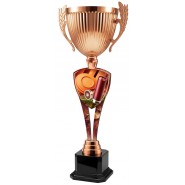 Trofej ACUPM2026M22 | Střelba