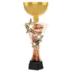 Akrylátová trofej ASTARCUPM02 | Basketball