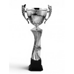 Pohár STL2024/02N