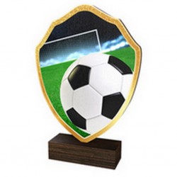 Dřevěná plaketa TFRW001 | Fotbal