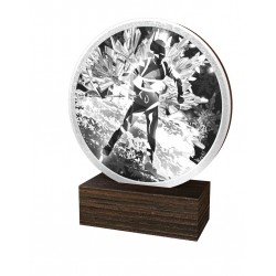 Dřevěná plaketa TFRW767 | Biatlon