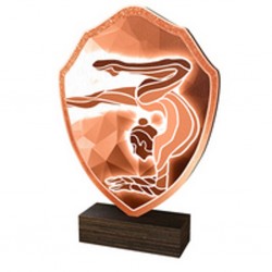 Dřevěná plaketa TFRW113 | Gymnastika