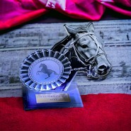Akrylátová trofej AWF M54 | Jezdectví
