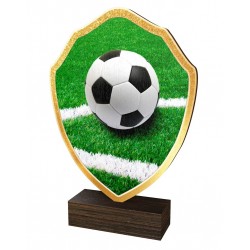Dřevěná plaketa TFRW312 | Fotbal