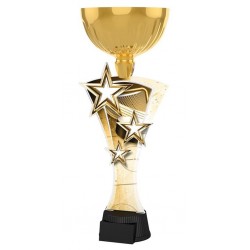 Akrylátová trofej ASTARNCUPM13 | Hokej