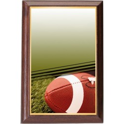 Plaketa PLP3M34 | Rugby