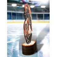 Akrylátová trofej TLR2023290 | Hokej
