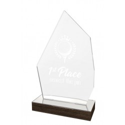 Akrylátová trofej WPLA259