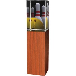 Skleněná trofej - kombinace skla a dřeva CR4021M24 | Bowling