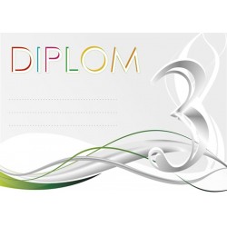 Diplom DP0035 | Čísla
