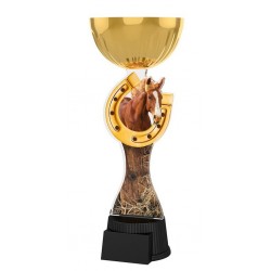 Akrylátová trofej ACUPCGMINIM43 | Jezdectví