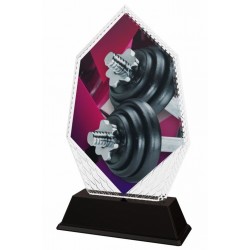 Akrylátová trofej PYR001M19 | Vzpírání