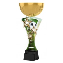 Akrylátová trofej ASTARCUPMINIM01 | Fotbal