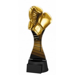 Akrylátová trofej ACUTCNM13 | Bojová umění