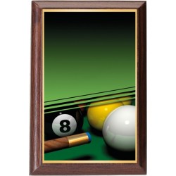 Plaketa PLP3M16 | Billiard