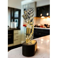 Akrylátová trofej TLR2023225 | Motorsport