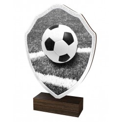 Dřevěná plaketa TFRW314 | Fotbal