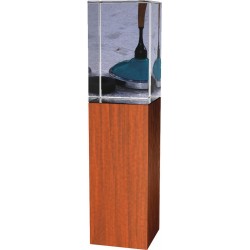 Skleněná trofej - kombinace skla a dřeva CR4021M21 | Eisstock