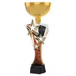 Akrylátová trofej ASTARCUPM06 | Střelba