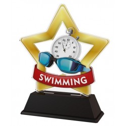 Akrylátová trofej STAR001M14 | Plavání