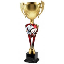 Trofej ACUPM2026M20 | Bojová umění