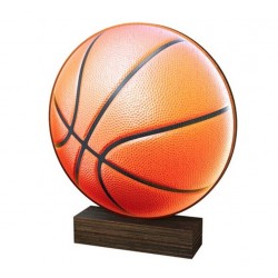 Dřevěná plaketa WF258 | Basketball