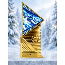 Designová trofej TRI2027M65 | Snowboard