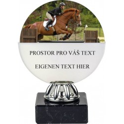 Akrylátová trofej ACL6NM11 | Jezdectví