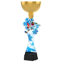Akrylátová trofej ACUPCGM140 | Snowboard