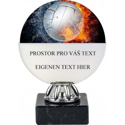 Akrylátová trofej ACL6NM19 | Volejbal