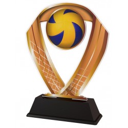 Akrylátová trofej ACRC001M13 | Volejbal
