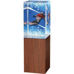 Skleněná trofej - kombinace skla a dřeva CRS4021M20 | Snowboard