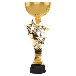 Akrylátová trofej ASTARNCUPM07 | Plavání