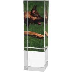 Skleněná trofej CR4034M18 | Kynologie