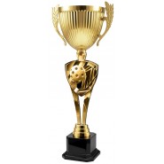 Trofej ACUPMR2026M19 | Pickleball Trofej ACUPMR2026M19 | Pickleball