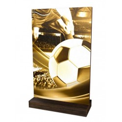 Dřevěná plaketa WPLAR01M01 | Fotbal