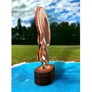 Akrylátová trofej TLR2023281 | Střelba