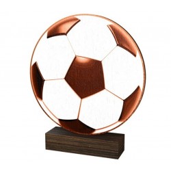 Dřevěná plaketa WF257 | Fotbal