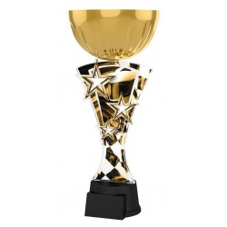 Akrylátová trofej ASTARNCUPMINIM05 | Motorsport
