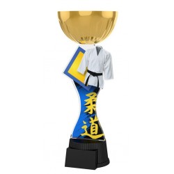 Akrylátová trofej ACUPCGMINIM40 | Bojová umění