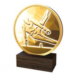 Dřevěná plaketa TFRW679 | Gymnastika