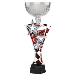 Akrylátová trofej ASTARRCUPM05 | Motorsport