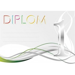 Diplom DP0033