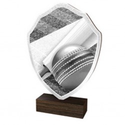 Dřevěná plaketa TFRW140 | Cricket