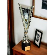 Sportovní pohár GL9 | Softball