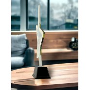 Akrylátová trofej STAR002M2 | Americký fotbal