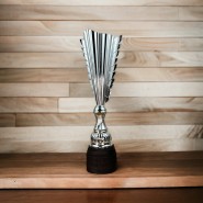 Sportovní pohár SL15 | Rugby