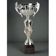 Pohár Standard S0273